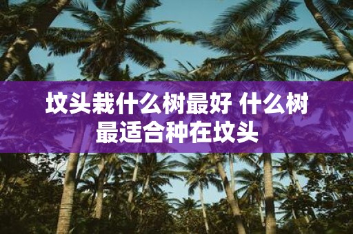 坟头栽什么树最好 什么树最适合种在坟头