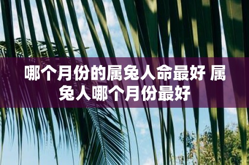 哪个月份的属兔人命最好 属兔人哪个月份最好