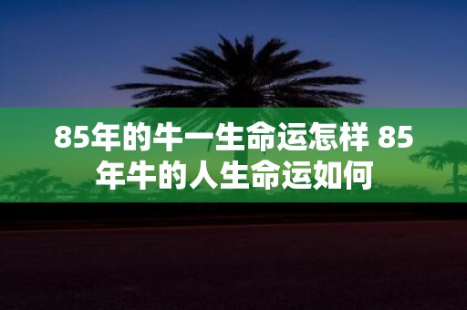 85年的牛一生命运怎样 85年牛的人生命运如何