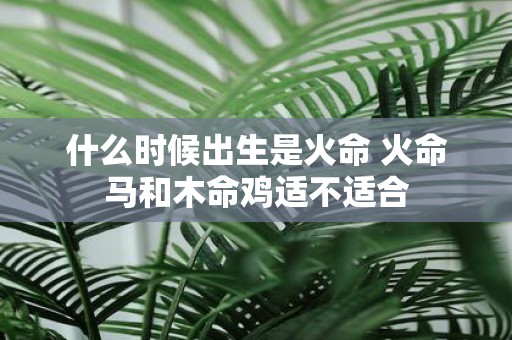 什么时候出生是火命 火命马和木命鸡适不适合