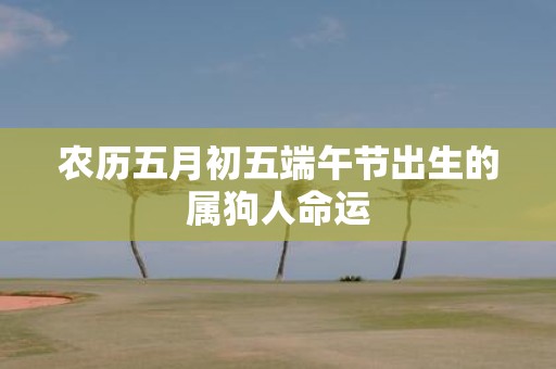 农历五月初五端午节出生的属狗人命运