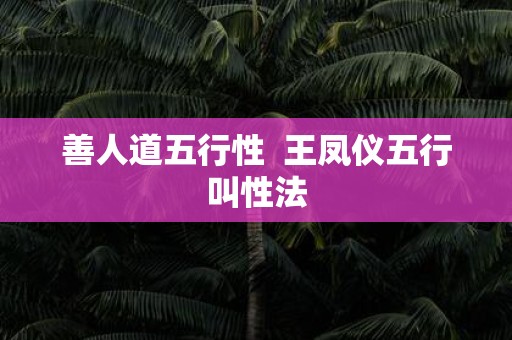 善人道五行性 王凤仪五行叫性法