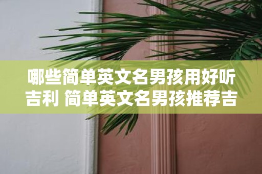 哪些简单英文名男孩用好听吉利 简单英文名男孩推荐吉利好听