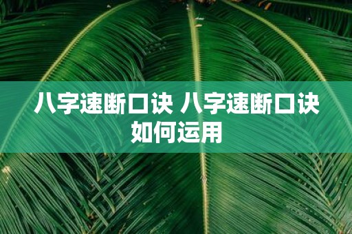 八字速断口诀 八字速断口诀如何运用