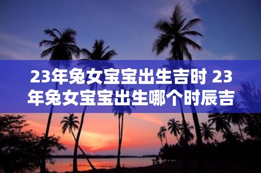 23年兔女宝宝出生吉时 23年兔女宝宝出生哪个时辰吉利