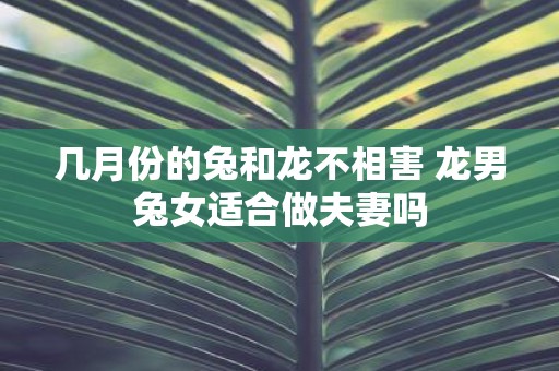 几月份的兔和龙不相害 龙男兔女适合做夫妻吗