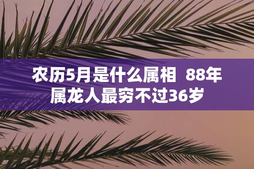 农历5月是什么属相 88年属龙人最穷不过36岁