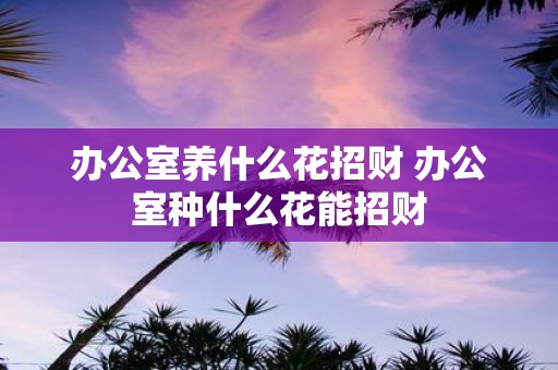 办公室养什么花招财 办公室种什么花能招财