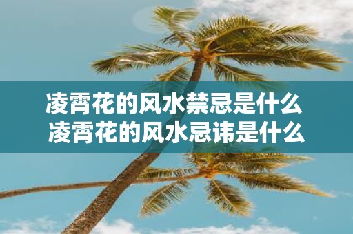 凌霄花的风水禁忌是什么 凌霄花的风水忌讳是什么