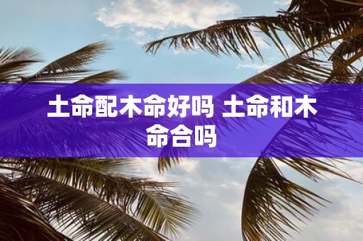 土命配木命好吗 土命和木命合吗