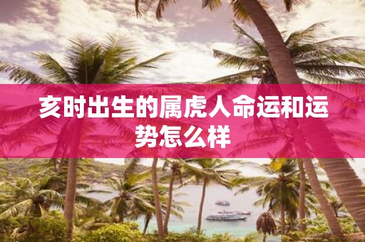 亥时出生的属虎人命运和运势怎么样