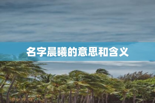 名字晨曦的意思和含义