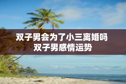 双子男会为了小三离婚吗 双子男感情运势