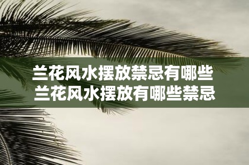 兰花风水摆放禁忌有哪些 兰花风水摆放有哪些禁忌