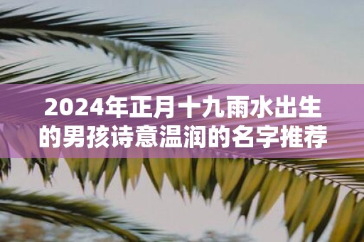 2025年正月十九雨水出生的男孩诗意温润的名字推荐