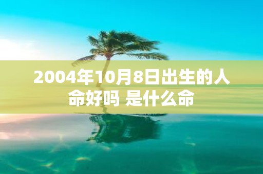 2004年10月8日出生的人命好吗 是什么命