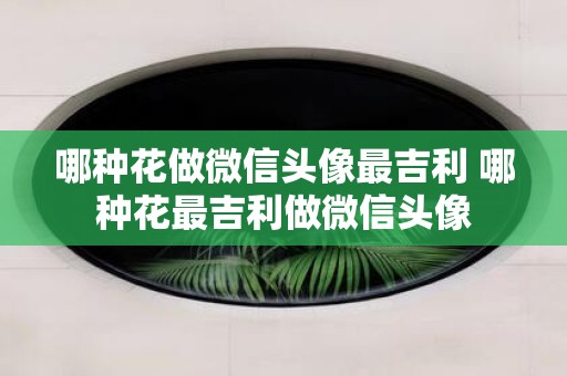 哪种花做微信头像最吉利 哪种花最吉利做微信头像
