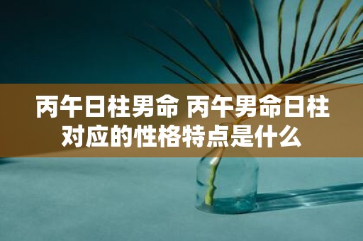 丙午日柱男命 丙午男命日柱对应的性格特点是什么