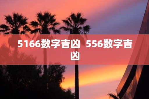 5166数字吉凶 556数字吉凶