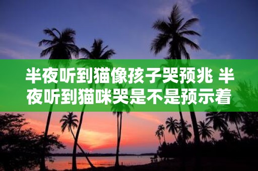 半夜听到猫像孩子哭预兆 半夜听到猫咪哭是不是预示着什么