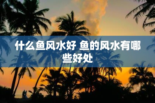什么鱼风水好 鱼的风水有哪些好处
