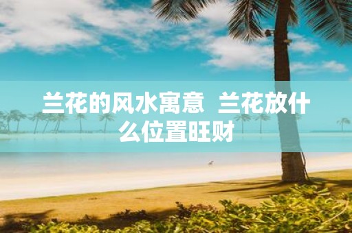 兰花的风水寓意 兰花放什么位置旺财