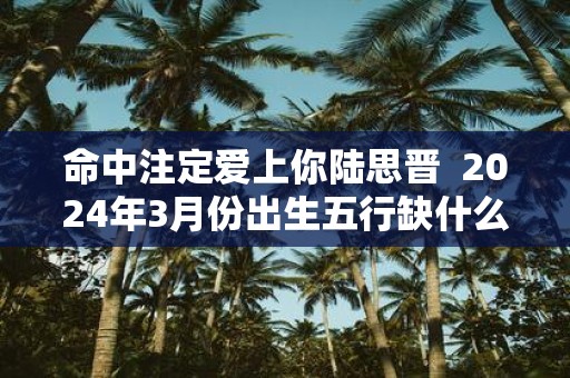 命中注定爱上你陆思晋 2025年3月份出生五行缺什么