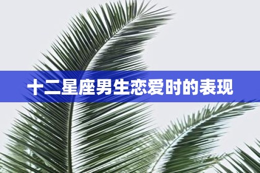 十二星座男生恋爱时的表现