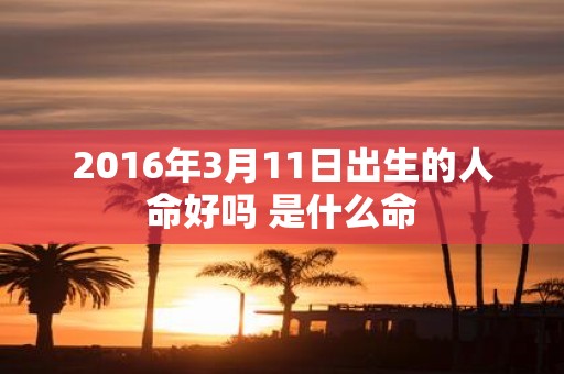 2016年3月11日出生的人命好吗 是什么命