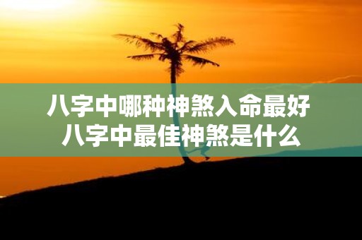 八字中哪种神煞入命最好 八字中最佳神煞是什么