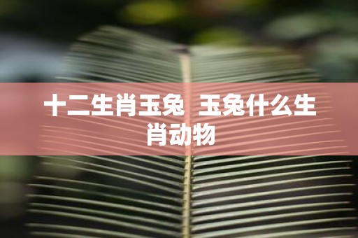十二生肖玉兔 玉兔什么生肖动物