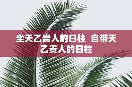 坐天乙贵人的日柱 自带天乙贵人的日柱