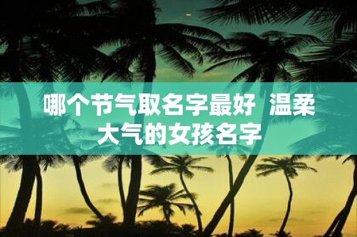 哪个节气取名字最好 温柔大气的女孩名字