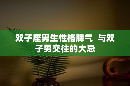 双子座男生性格脾气 与双子男交往的大忌