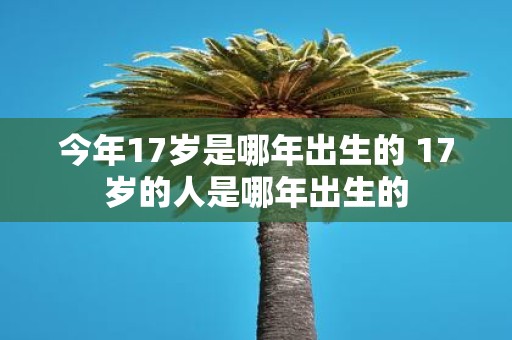 今年17岁是哪年出生的 17岁的人是哪年出生的