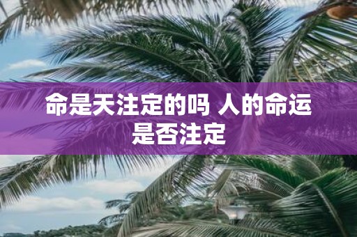 命是天注定的吗 人的命运是否注定