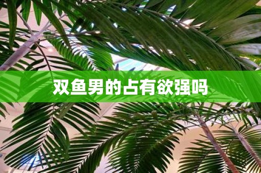 双鱼男的占有欲强吗