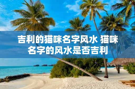 吉利的猫咪名字风水 猫咪名字的风水是否吉利