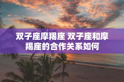 双子座摩羯座 双子座和摩羯座的合作关系如何