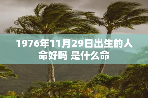 1976年11月29日出生的人命好吗 是什么命