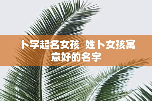 卜字起名女孩 姓卜女孩寓意好的名字