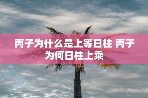 丙子为什么是上等日柱 丙子为何日柱上乘