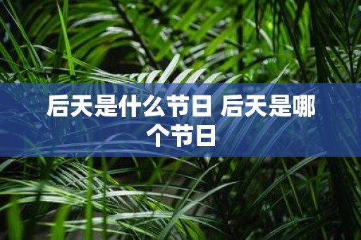 后天是什么节日 后天是哪个节日