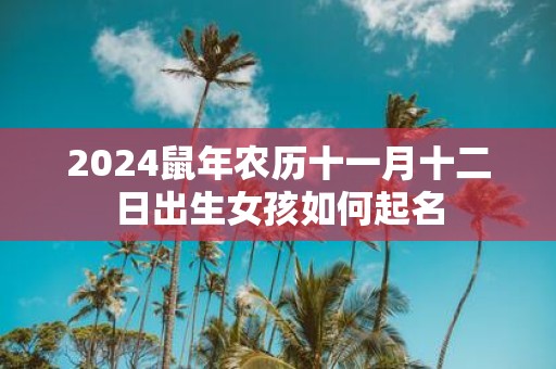 2025鼠年农历十一月十二日出生女孩如何起名