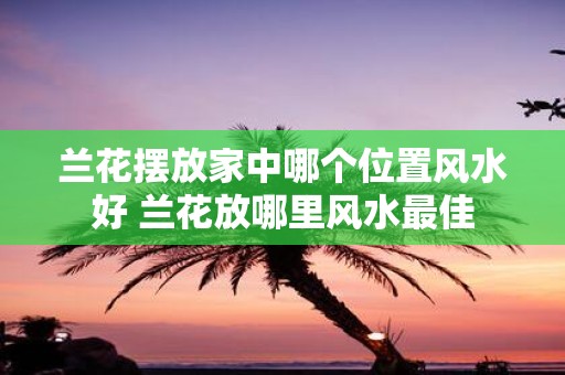 兰花摆放家中哪个位置风水好 兰花放哪里风水最佳