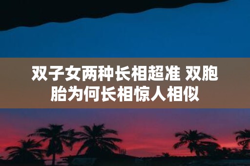 双子女两种长相超准 双胞胎为何长相惊人相似