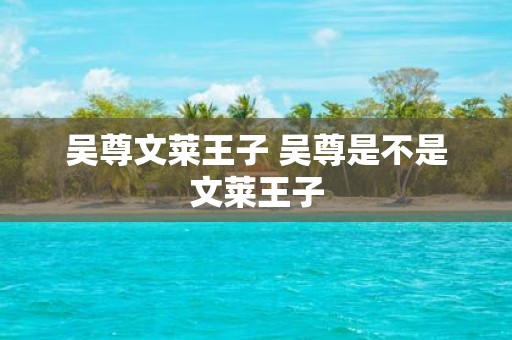 吴尊文莱王子 吴尊是不是文莱王子