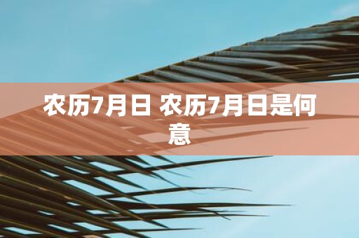 农历7月日 农历7月日是何意