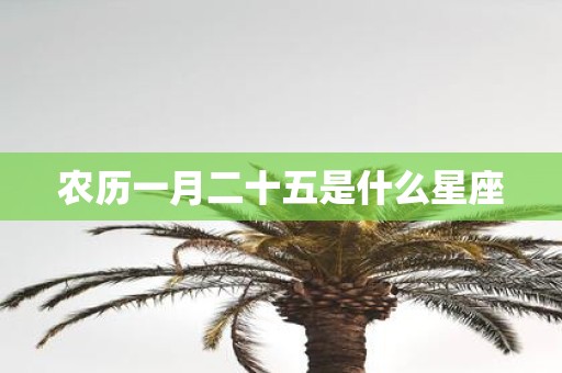 农历一月二十五是什么星座