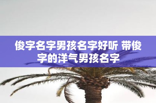 俊字名字男孩名字好听 带俊字的洋气男孩名字